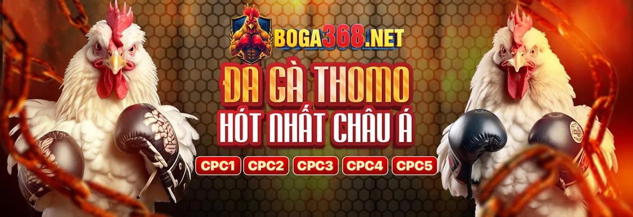 Đội ngũ hỗ trợ khách hàng chuyên nghiệp của g088 code